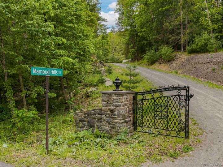 Property Photo:  40 Mamoud Hills, Lot #4 Road  NY 12401 