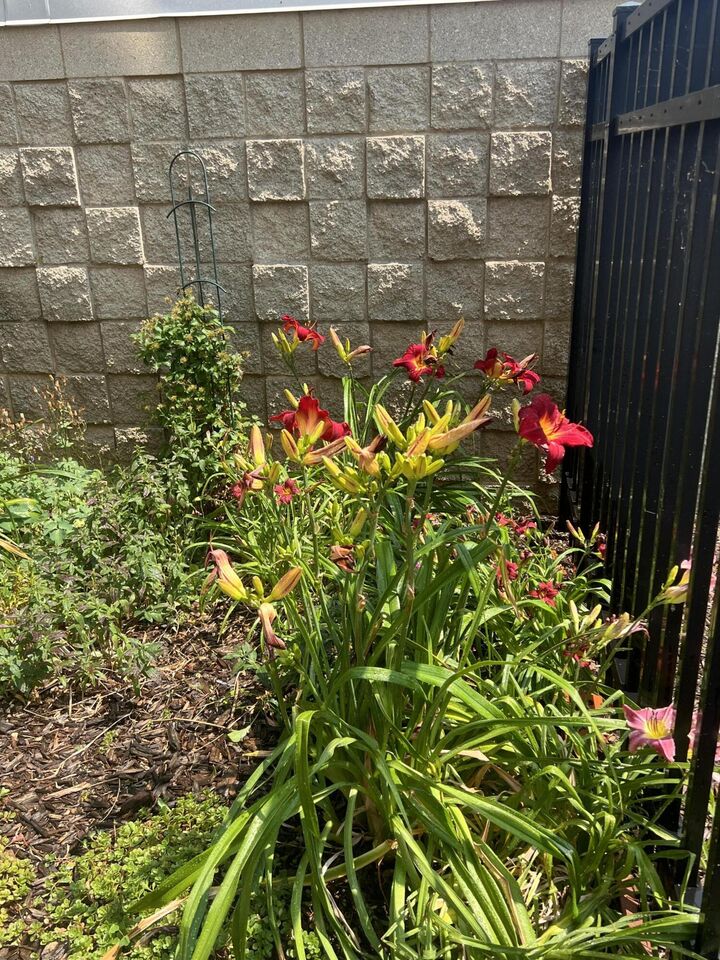 Property Photo:  2525 S Shore Dr  WI 53207 