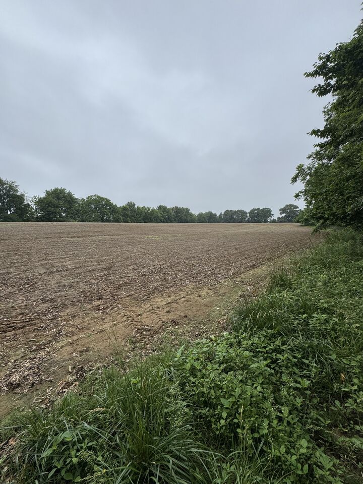 Property Photo: 325 Harts Mill Rd TN 38220