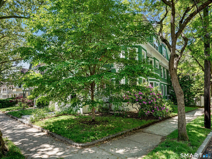 Property Photo:  146 Mansfield Street 3  CT 06511 