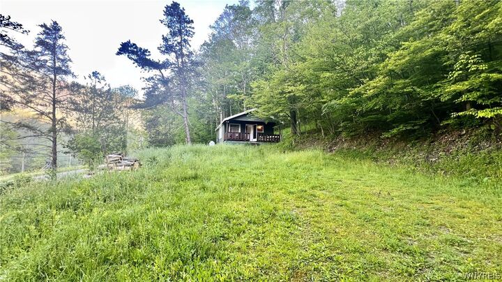 Property Photo:  6964 Route 219 N  NY 14731 