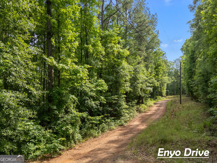 Property Photo: 1988 N Walkers Mill Road GA 30223