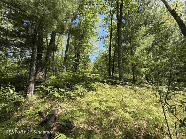 Property Photo:  981 E Cranberry Lake Road  MI 48625 