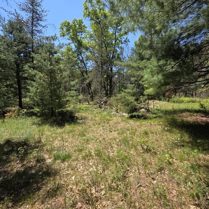 Property Photo:  Wilma'S Way  MI 49304 