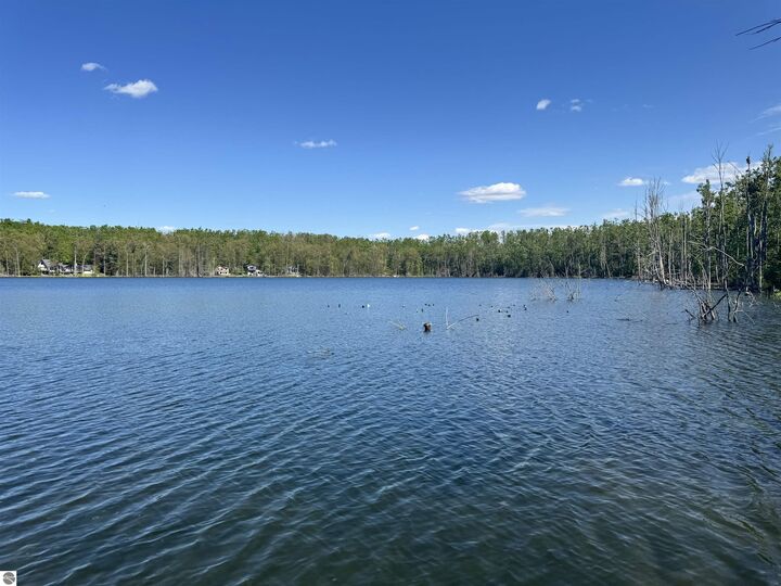 Property Photo:  1917 Limberlost Lane  MI 49735 