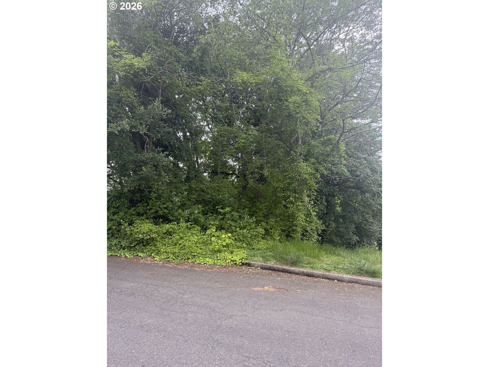 Property Photo:  9821 SW 34th Pl  OR 97219 