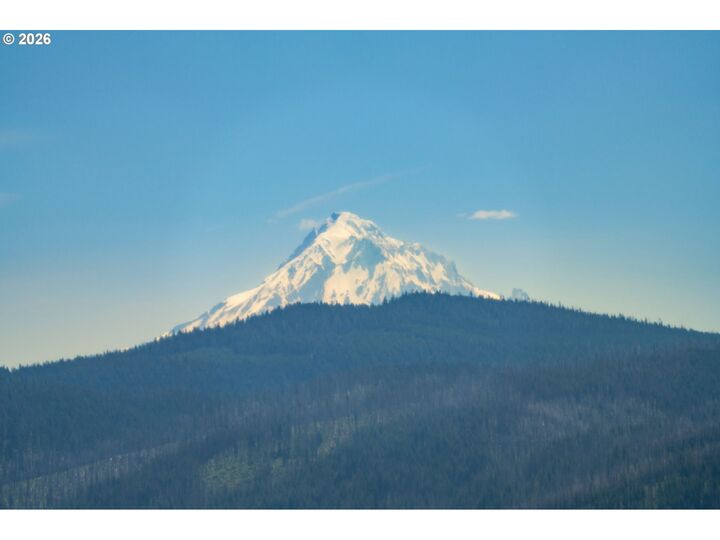Property Photo:  61 Bear Prairie Rd  WA 98671 