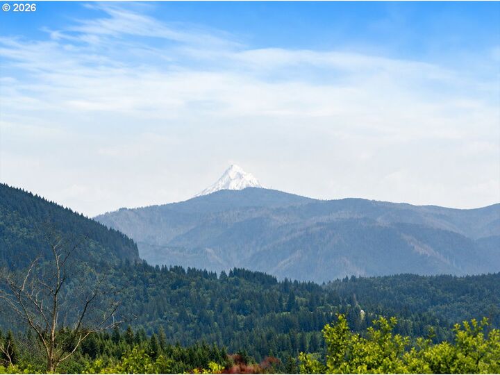 Property Photo:  61 Bear Prairie Rd  WA 98671 