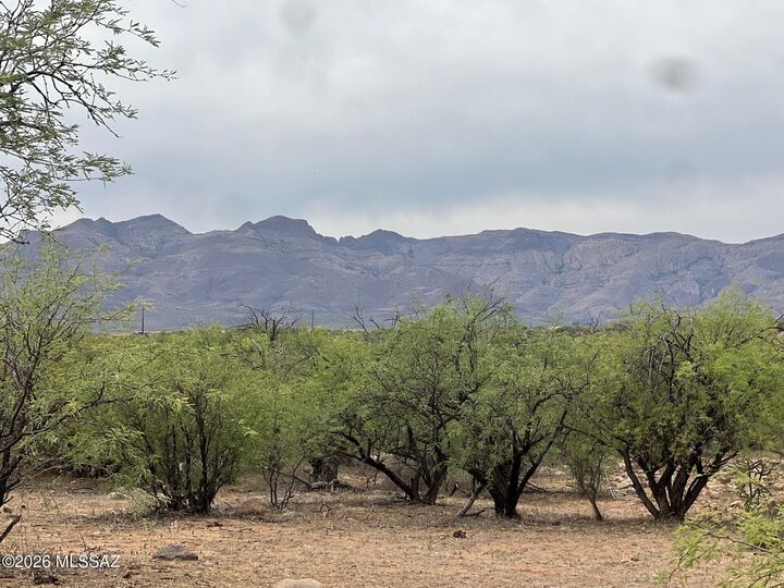 Property Photo:  282 Ciuta Corte 85  AZ 85648 