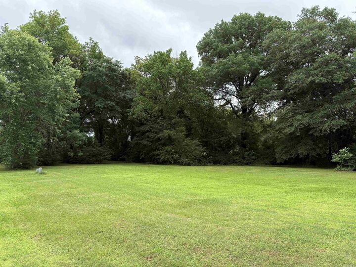 Property Photo:  298 Niagra Falls  AR 72032 