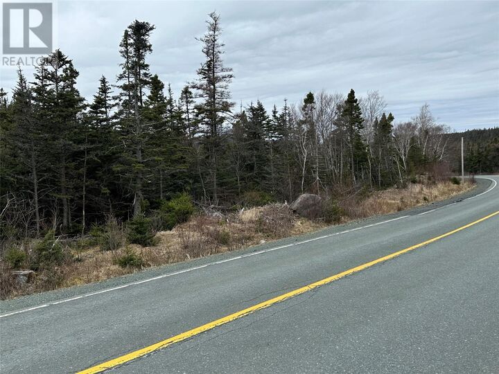 Property Photo:  106 Liam Hickey Drive  NL A0A 2R0 
