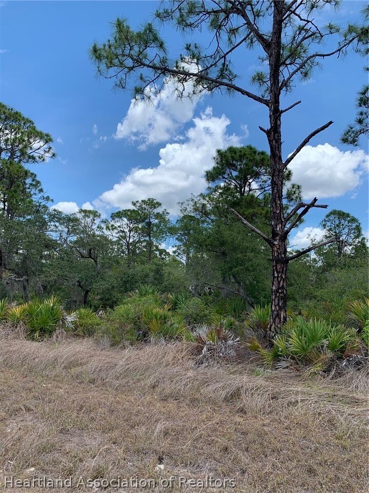 Property Photo:  553 Wildflower Street  FL 33852 