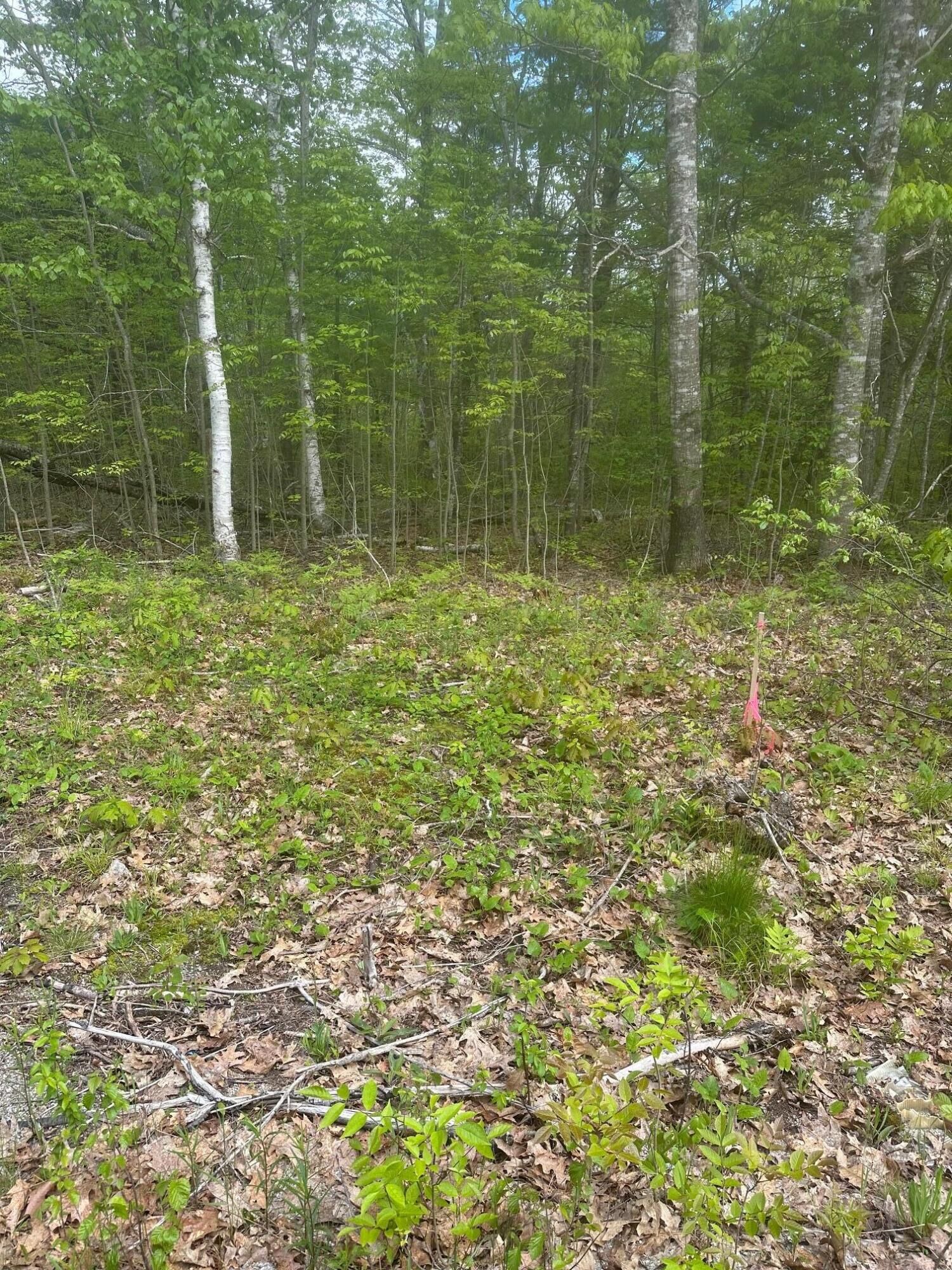 Property Photo: Lot 7 Unionville Road ME 04680