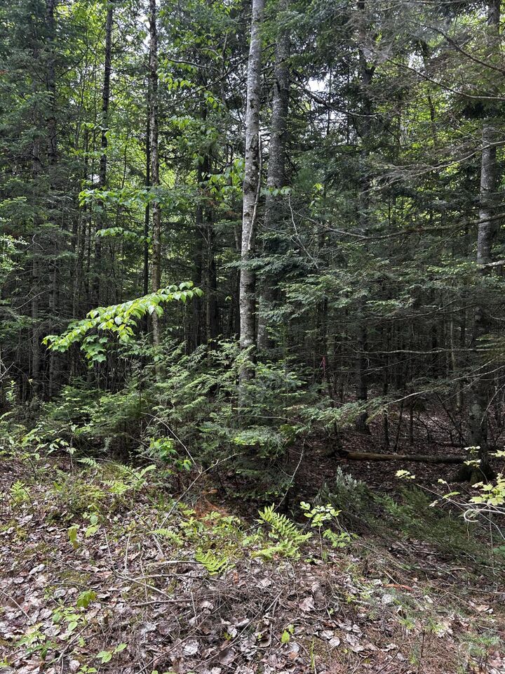 Property Photo:  Lot 9-4 Lilly Drive  ME 04953 
