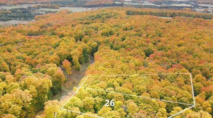 Property Photo: 3395 Needles Lot 26 MI 49740