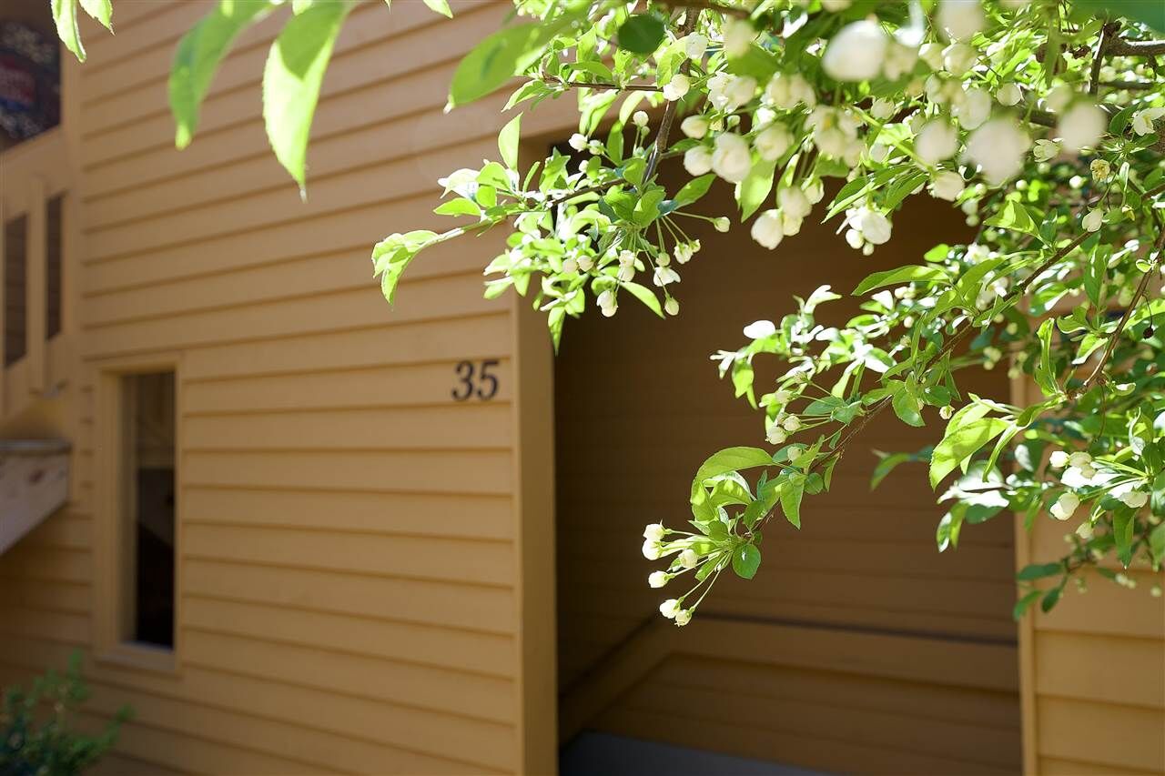 Property Photo: 4749 S Pleasaantview #35 MI 49740