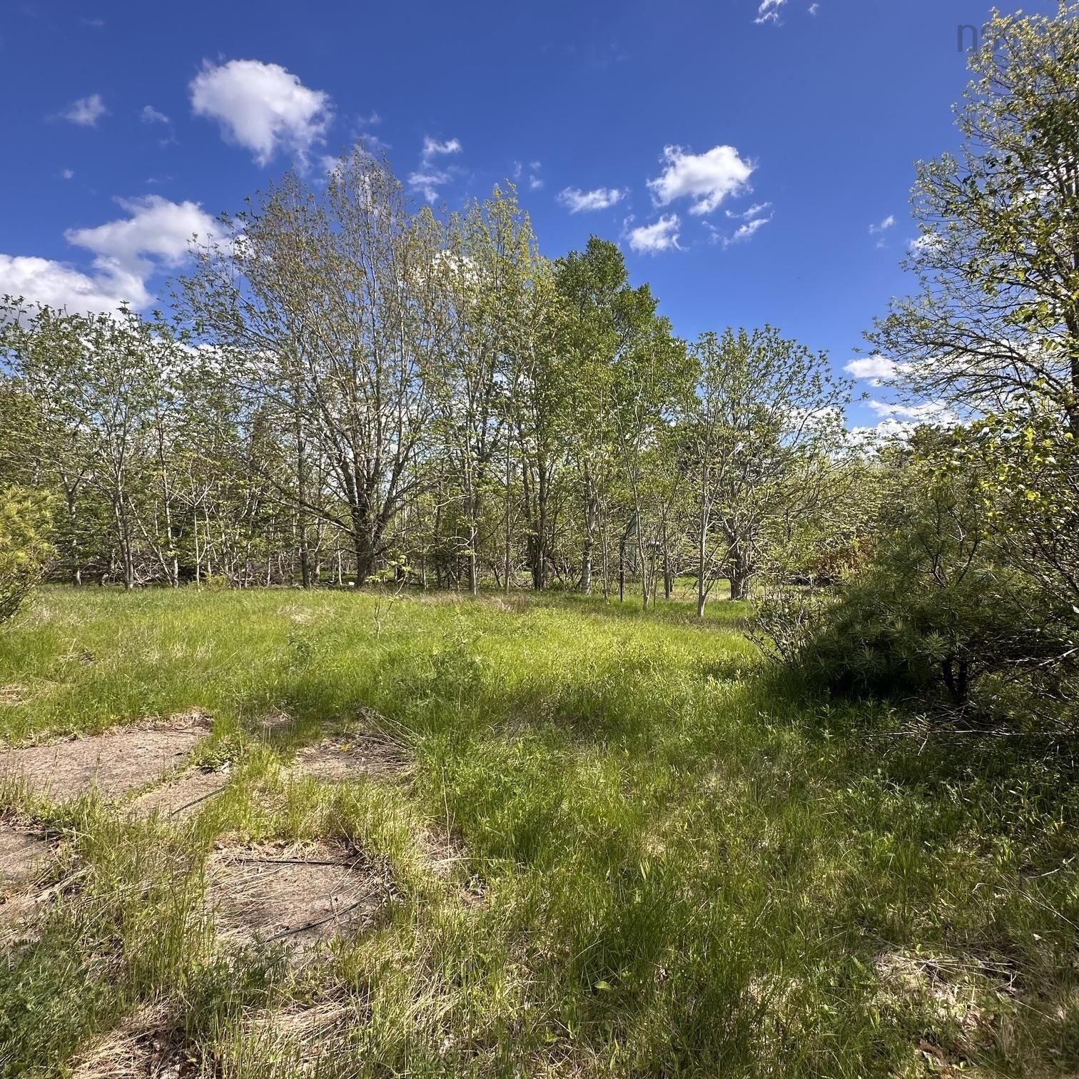 Property Photo:  Lot 70130604 Wellington Road  NS B0T 1E0 