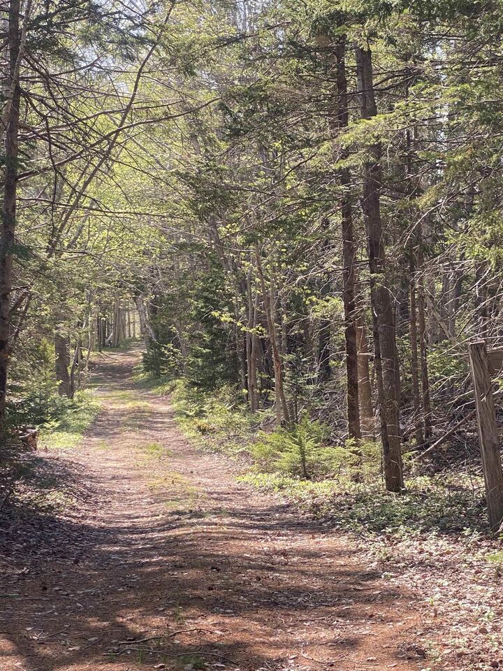 Property Photo: 70 Whispering Pines Lane NS B0W 1H0