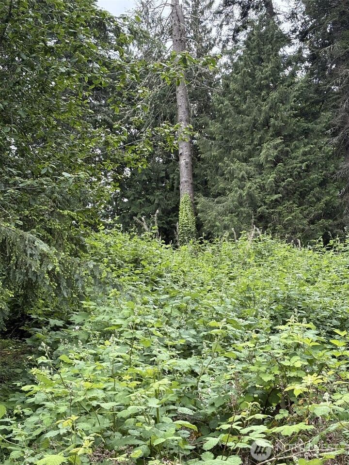 Property Photo: 907 Summit Lake Shore Road NW WA 98502