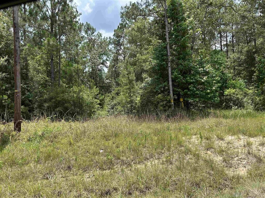 Property Photo:  Hwy 389 Highway  LA 70653 