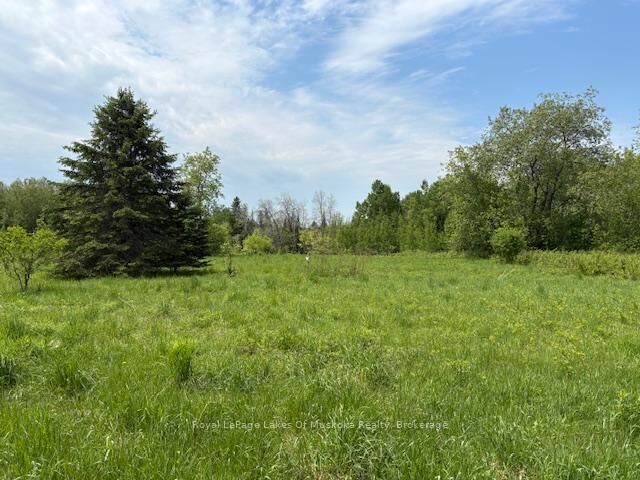 351 Ravenscliffe Road — photo 1
