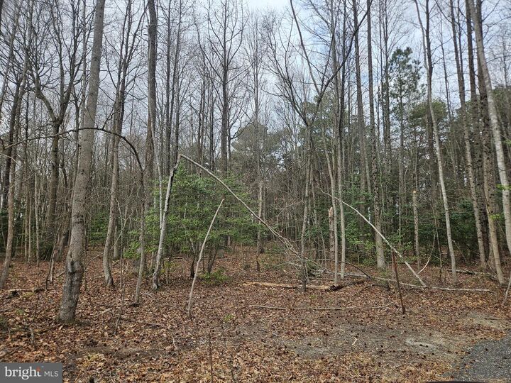 Property Photo: 15410 Megan Joy Road DE 19960