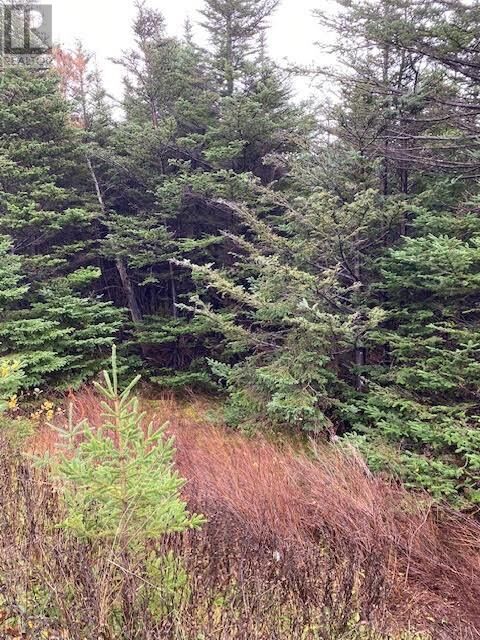 Property Photo:  94-96 Highway East  NL A0A 4G0 