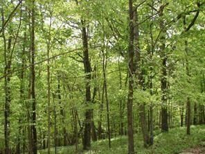 Property Photo:  141 Fort Wayne Court  GA 30183 
