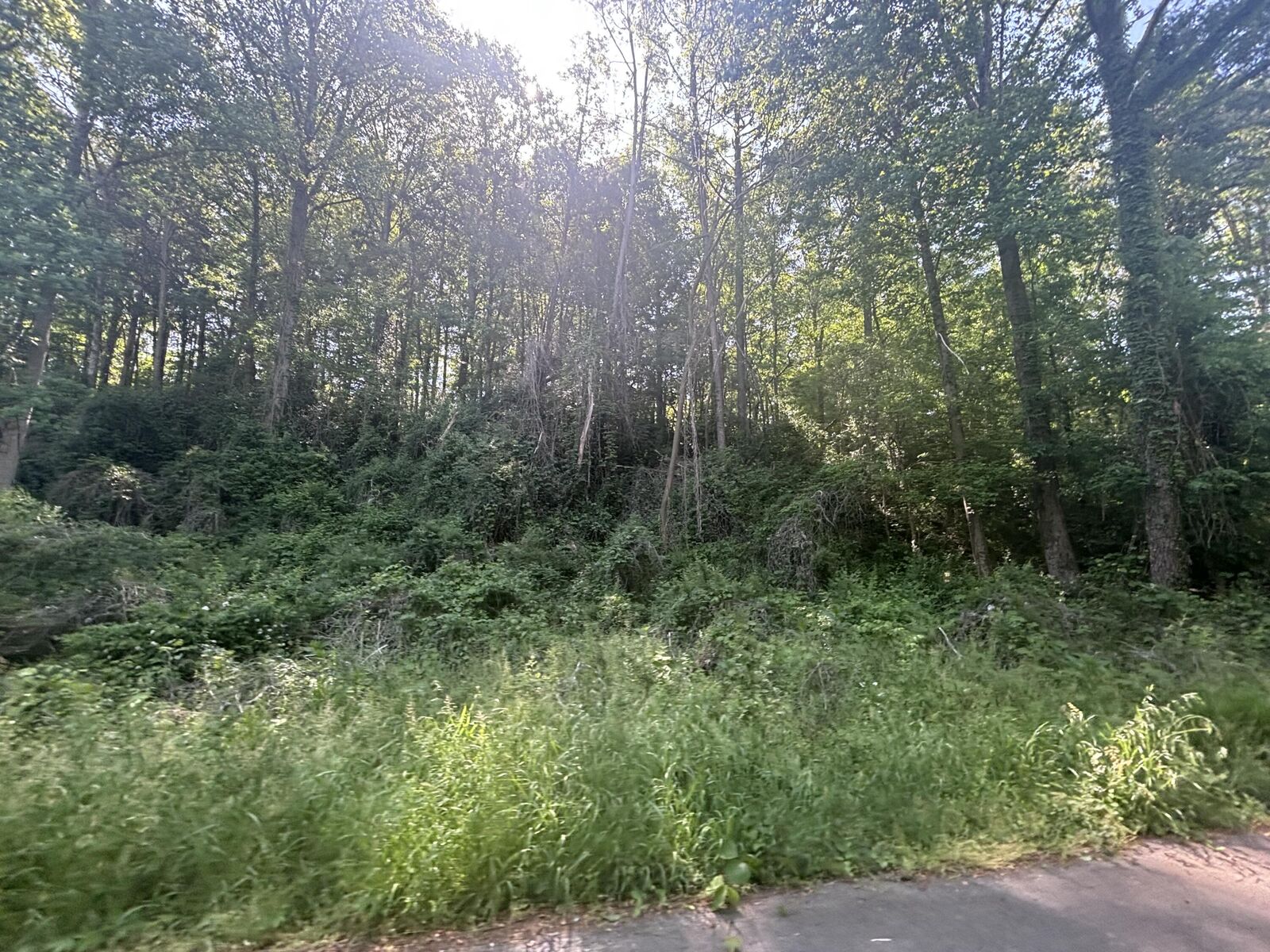 Property Photo:  00 Westover Drive SW  TN 37311 