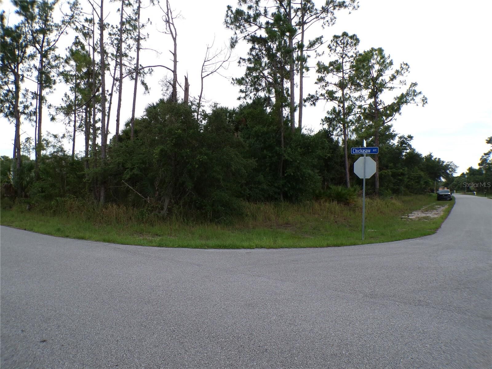Property Photo: Chickasaw Avenue FL 34288