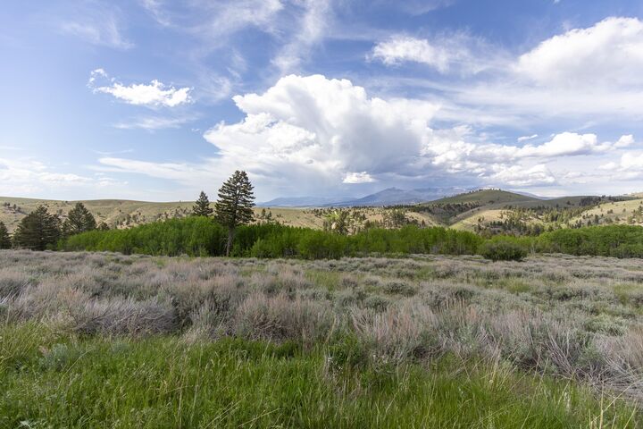 Property Photo:  386 Ross Gulch Road  MT 59644 