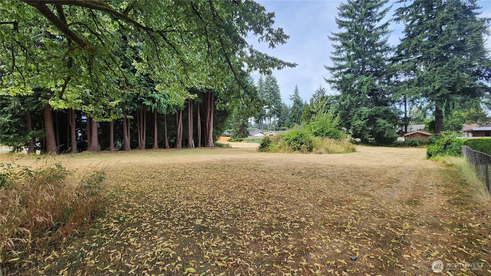 Property Photo:  303  Dennis Street SW  WA 98501 