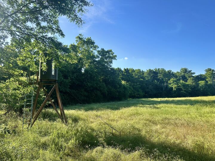 Property Photo: 14188 County Road 195 MO 65779