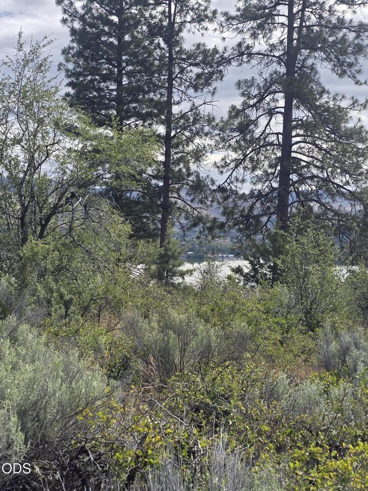Property Photo:  857 Bailey Mountain Road  OR 97601 
