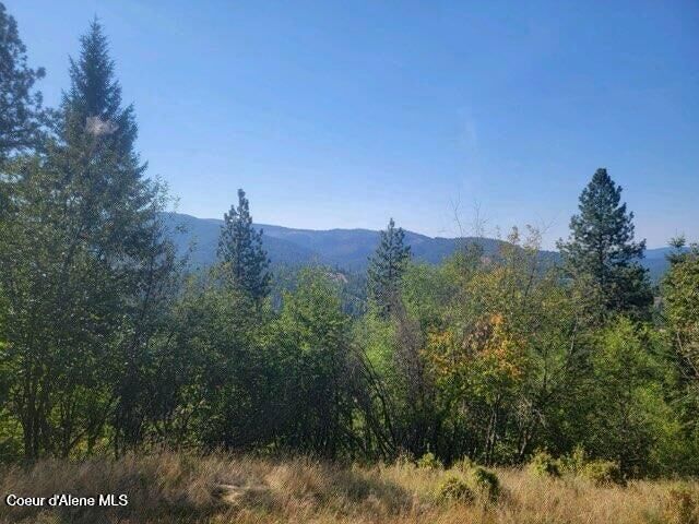 Property Photo:  Nka Smelterville  ID 83868 