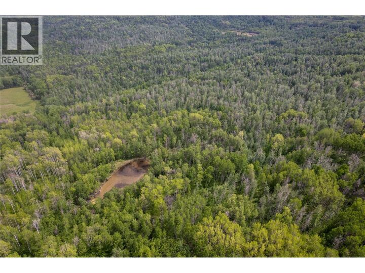 Property Photo:  Near 206 Road  BC V0C 2C0 