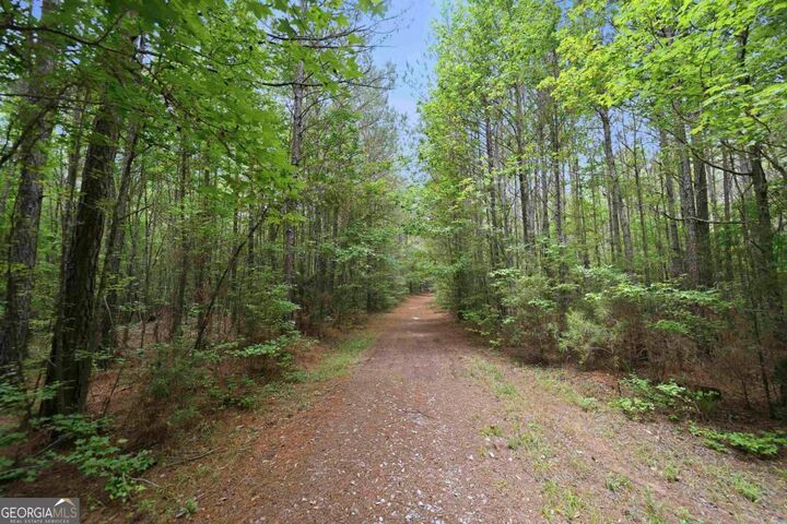 Property Photo:  0 Pear Orchard Road  GA 30642 