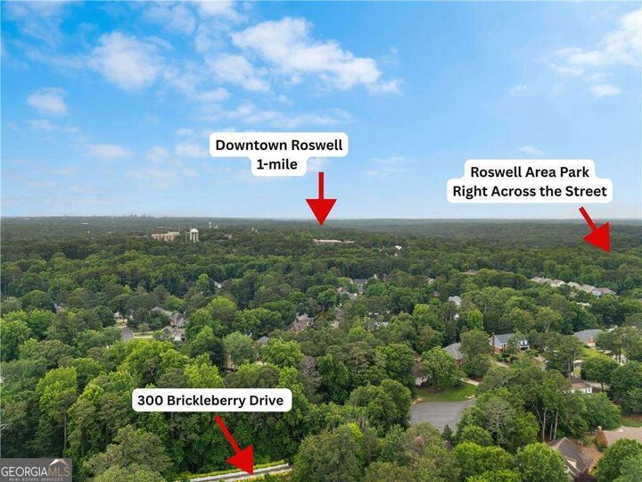 Property Photo:  300 Brickleberry Drive  GA 30075 