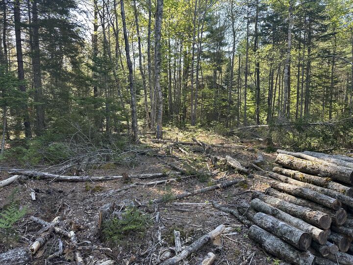 Property Photo:  61 Gerards Trail  ME 04614 