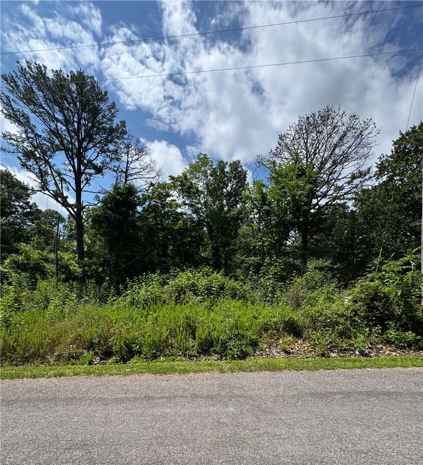 Property Photo: Lot 24 Weybridge Drive AR 72714