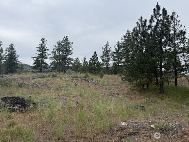 Property Photo:  111  Tbd Patterson Creek  WA 98855 