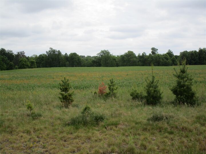 Property Photo:  Xxx River Pines Drive  WI 54848 
