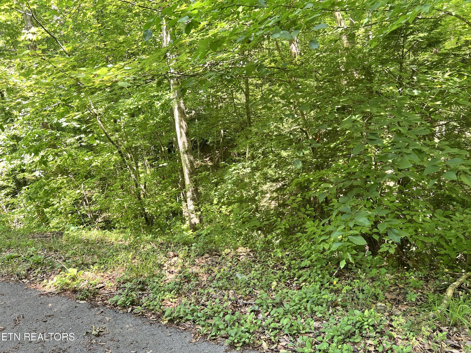 Property Photo:  Fir Drive Lot 110  TN 37876 