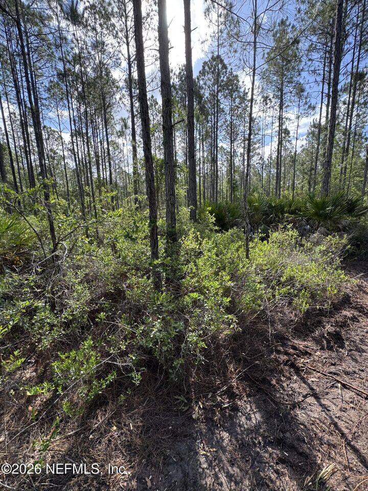 Property Photo:  114 Womp Lane  FL 32177 