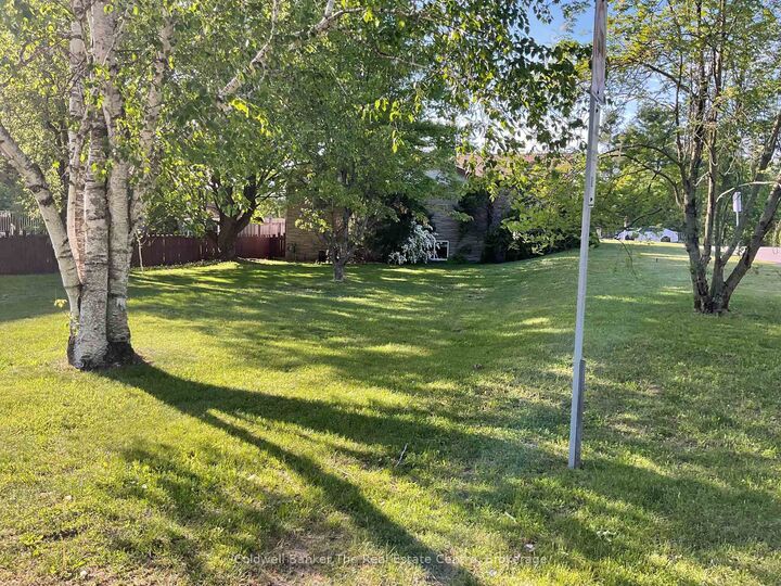 815 Muskoka Road N — photo 1
