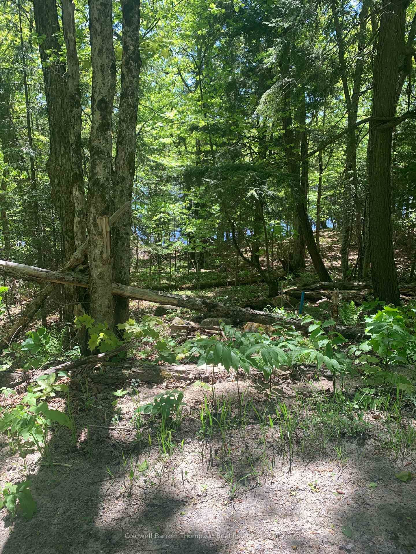 Property Photo:  00 Wurm Road  ON P0A 1P0 