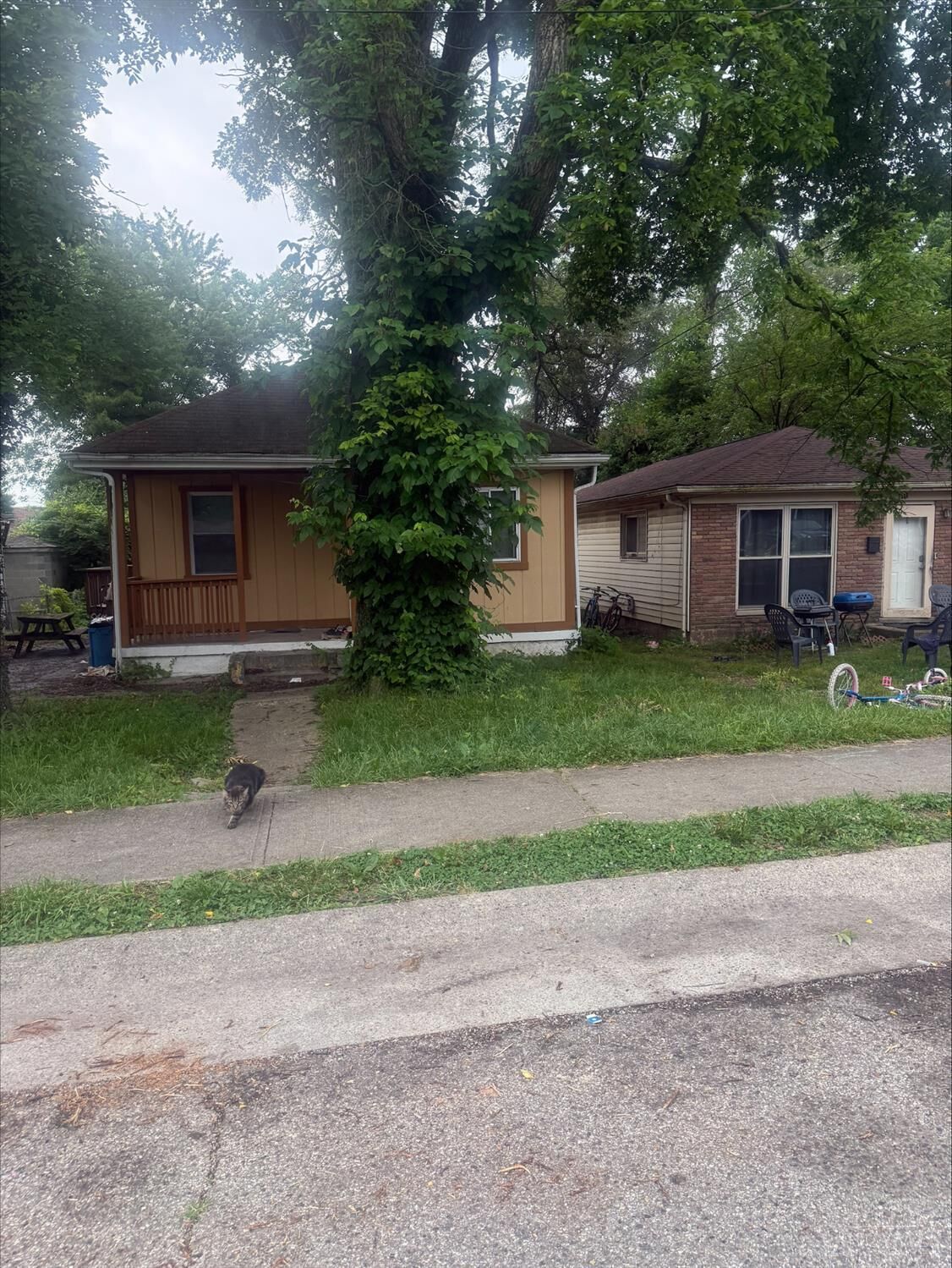 Property Photo: 1373 Byrd Avenue OH 45215