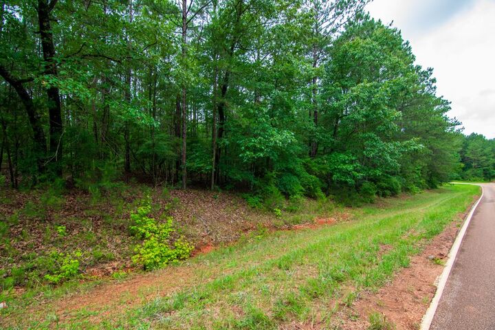 Property Photo:  0 White Road  GA 31822 