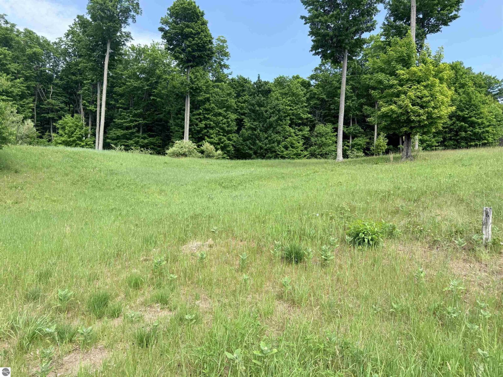 Property Photo: 00 W Sleepy Valley Drive MI 49630