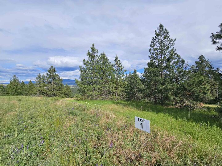 Property Photo: Nna S Sands Rd Lot 1 WA 99036